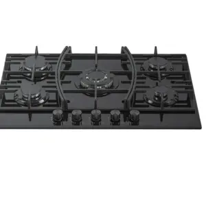 Premium Tempered Glass Built-in Gas Stove