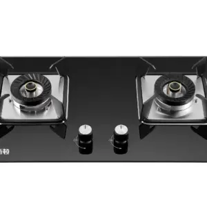 2 Burner Gas Stove with Tempered Glass Panel